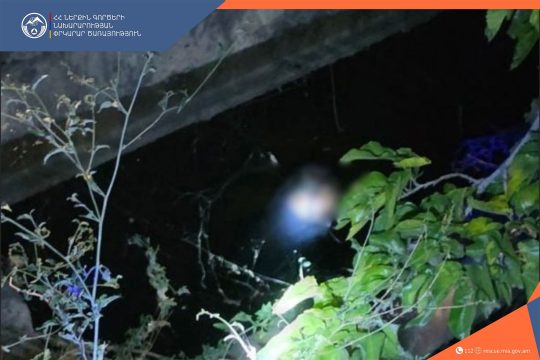 Փրկարարներն օտարերկրացուն դուրս են բերել ջրատարից