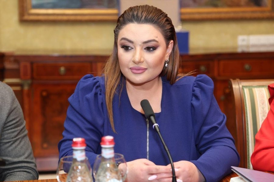ԵԽԽՎ զեկույցում անդրադարձ կա խորհրդարանից «Բարգավաճ Հայաստան»-ի դուրս մնալու հանգամանքներին. Իվետա Տոնոյան