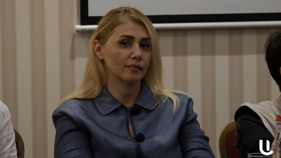 Հայաստանի արդարադատության հրաշքը. երբ ներդրողը դառնում է մեղադրյալ, իսկ պարտքը՝ հանցագործության պատմություն. Էլինար Վարդանյան