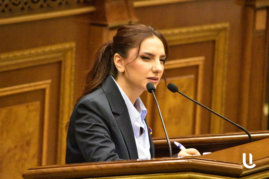 «Իշխանությունները, փորձելով փակել Արցախի էջը, բացում են Սյունիքի էջը»․ Արեգա Հովսեփյան