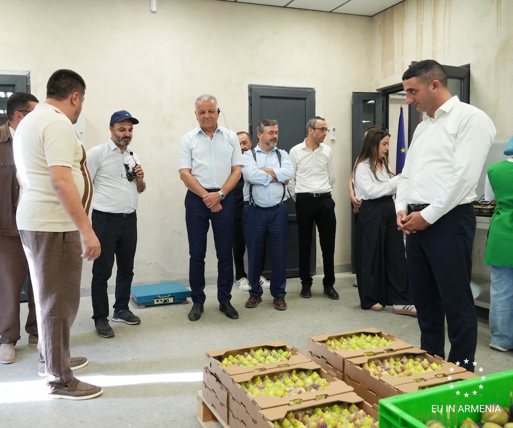 «Դիմակայուն Սյունիք Թիմ Եվրոպա» նախաձեռնության շրջանակում արդեն մոբիլիզացվել է 258 միլիոն եվրո