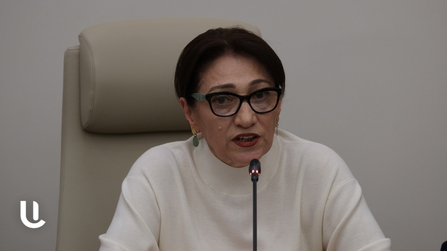 «Հ․ Գրիգորյանը պետք է, որ իրազեկ լիներ, որ Վեհափառի նկատմամբ առաջադրված քրեական հետապնդման հոդվածը, որն ինքնին ամոթալի փաստ է և առերևույթ իրավական–վարչական հալածանք, ոչ թե պետությունը տապալելու մասին է, այլ դատական ակտի կատարմանը խոչընդոտելու». Լիլիթ Գալստյան