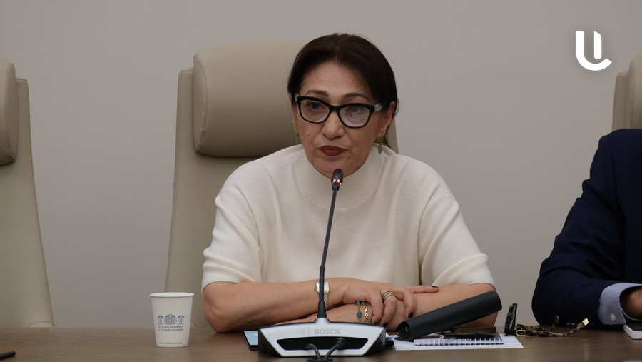 «Տպավորություն է, որ ընտանեկան բռնության մասին նախագծի նպատակը ոչ այնքան կանխարգելումն է, որքան պատժիչ գործողություններ իրականացնելը»․ Լիլիթ Գալստյան