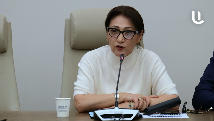 Պատրաստ են նաև անձամբ ու մենակ մեկնել Բաքու․ Լիլիթ Գալստյանը մարդասիրական դիմում-նամակով դիմել է ԵԱՀԿ ԽՎ
