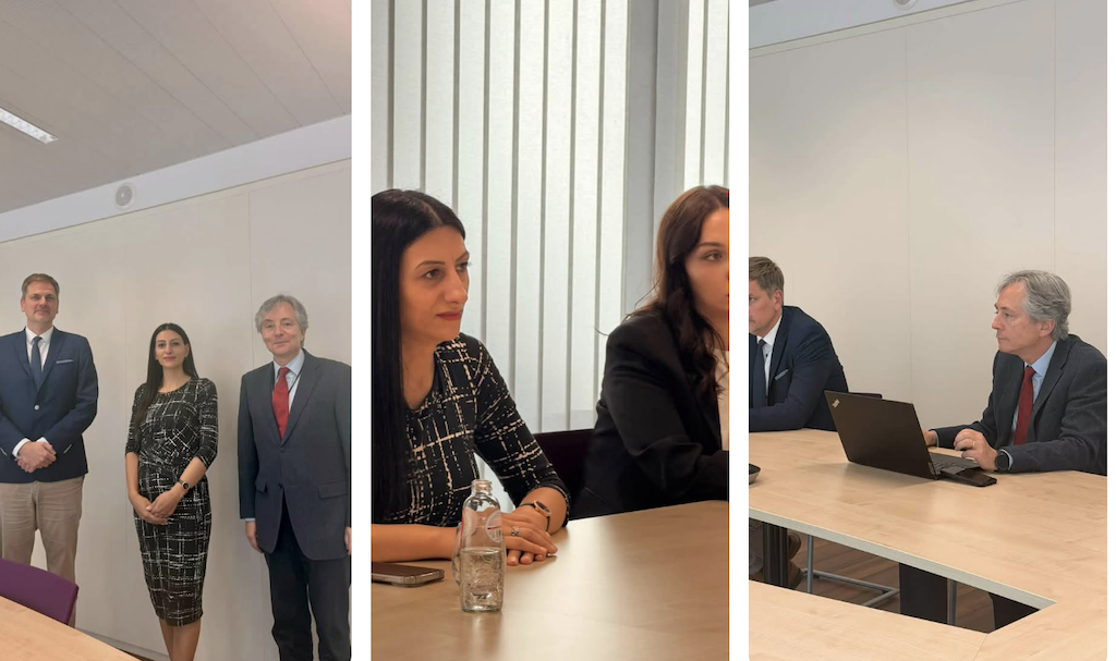 Anahit Manasyan discussed the possibilities of developing cooperation between institutions with the French-speaking Federal Ombudsman of Belgium