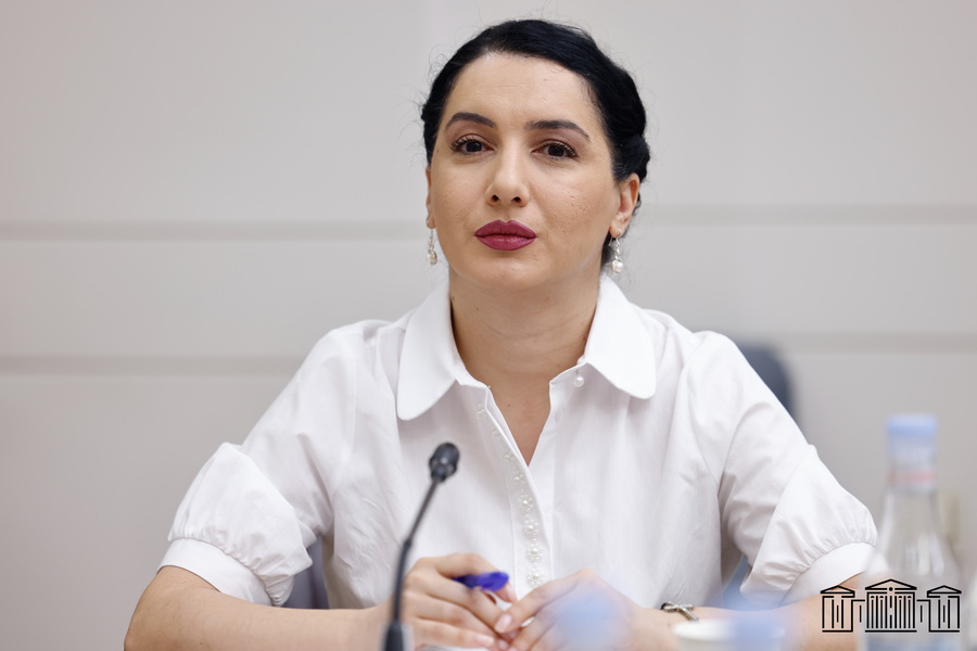 «Ուժեղ Հայաստան»-ն առաջարկեց հետաձգել Ընտանեկան բռնության նախագծի քննարկումը եւ ստանալ Վենետիկի հանձնաժողովի կարծիքը․ ՔՊ-ն մերժեց