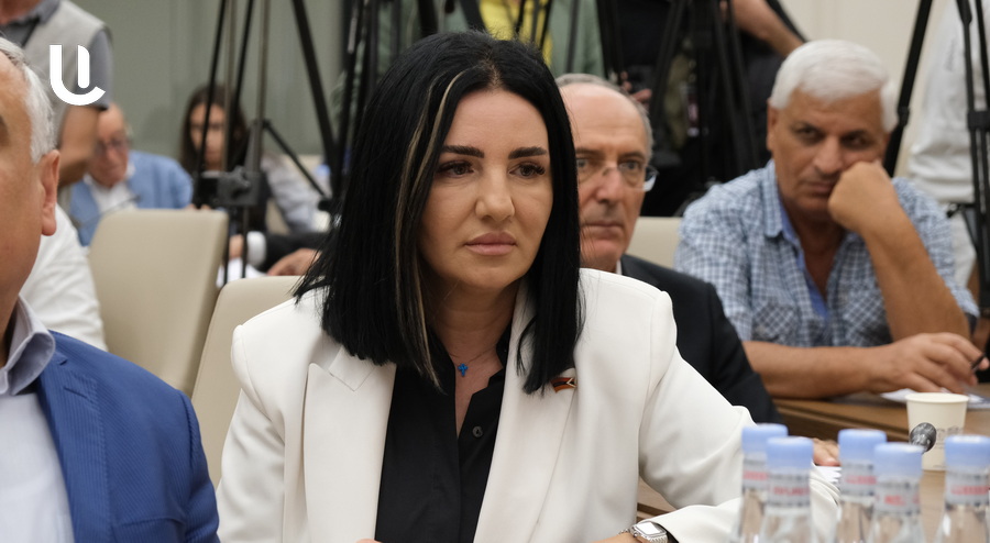 Խաղաղությունը և Արցախի ժողովրդի իրավունքները չպետք է հակադրվեն երբևէ․ Մետաքսե Հակոբյանի առաջարկները