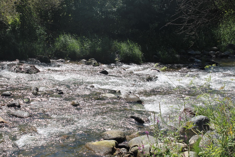 September 27th: World Rivers Day: Why protecting mountain rivers is important. FPAN