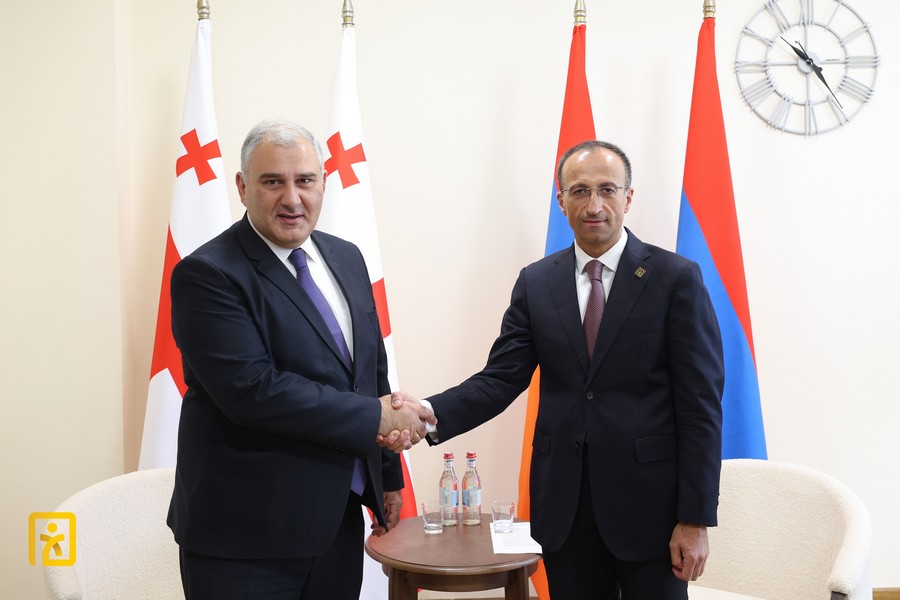 Arsen Torosyan and Mikheil Sarjveladze discussed issues of mutual interest