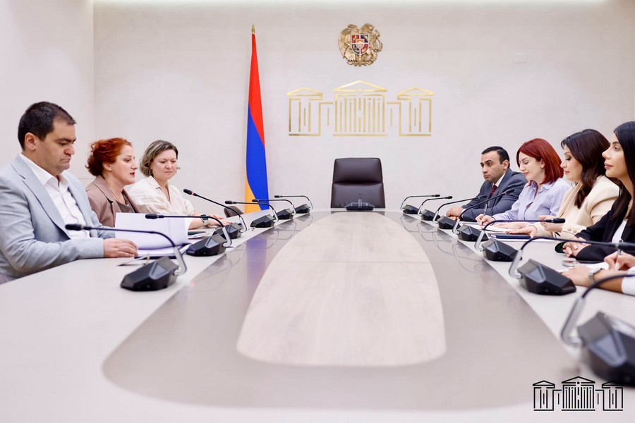 We discussed the employment, housing and social assistance programs for displaced persons from Karabakh, and the problems encountered during their implementation. Nazeli Baghdasaryan