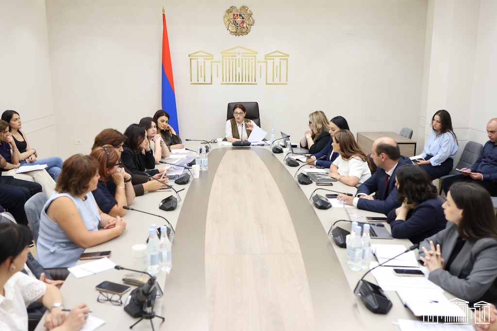 Առաջարկվող փոփոխությունների և լրացումների ընդունմամբ կապահովվի ընտանեկան և կենցաղային բռնության դեպքերի առավել արդյունավետ և զոհակենտրոն դեպքերի քննությունը