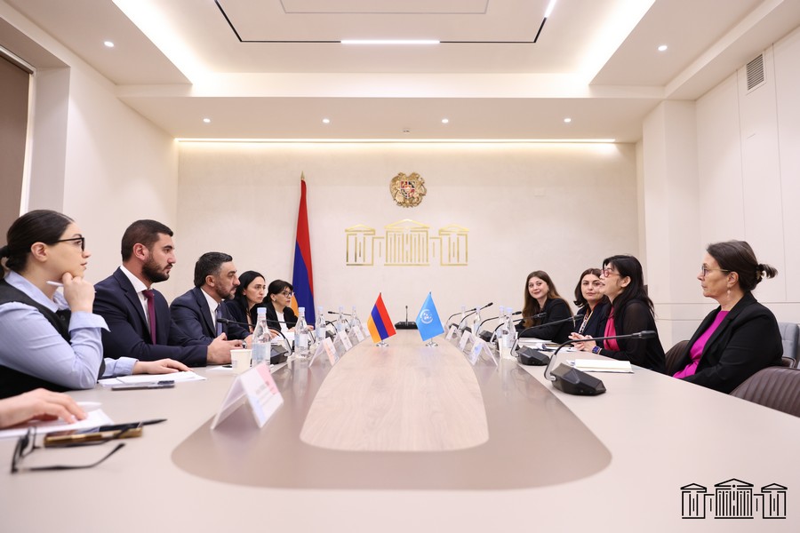 Քննարկվել են ՄԱԿ-ի կանանց հարցերով կազմակերպության և ԱԺ մշտական հանձնաժողովի համագործակցության հնարավոր շրջանակները
