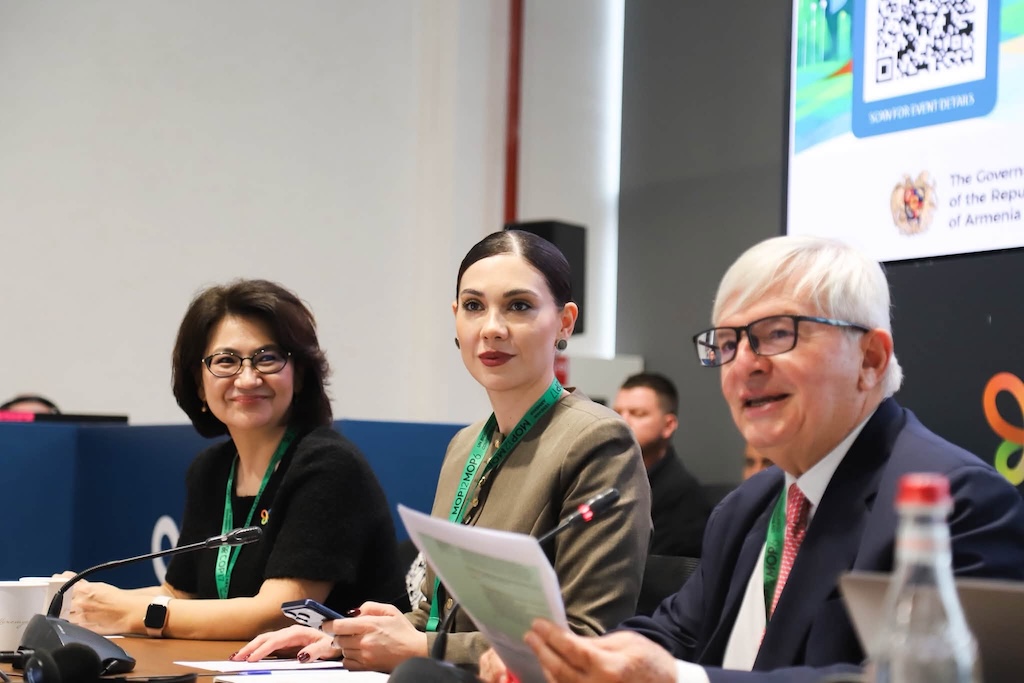 COP17-ի հյուրընկալումը հնարավորություն է Հայաստանի իրավական ու դատական համակարգը կատարելագործելու. Սրբուհի Գալյան
