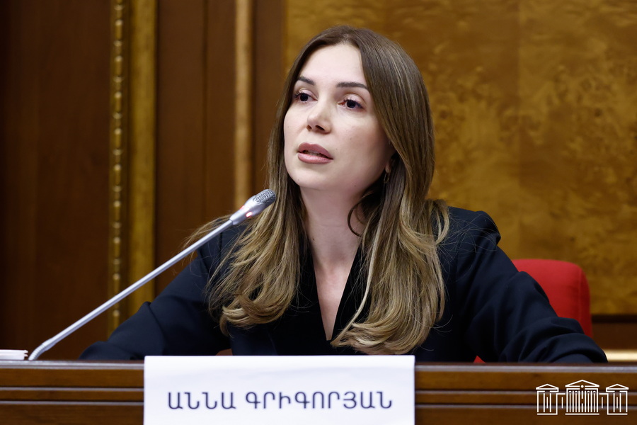 «Մեկ տարի առաջ էինք 250 միլիոն դոլարի վարկ վերցրել, վերջացա՞վ, որ նորից ենք վերցնում»․ Աննա Գրիգորյան