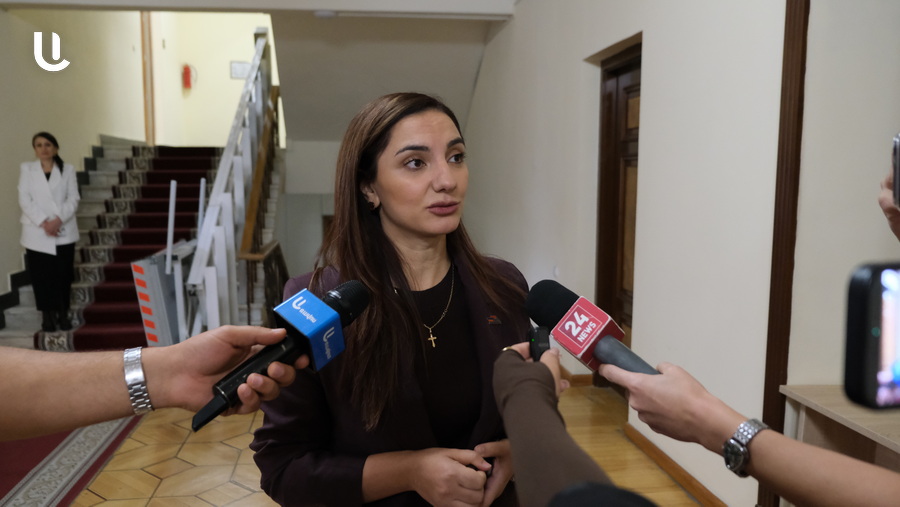 Արեգա Հովսեփյան․ «ՔՊ-ն ցանկություն չհայտնեց արցախցիների հարցի համատեղ քննարկման վերաբերյալ»