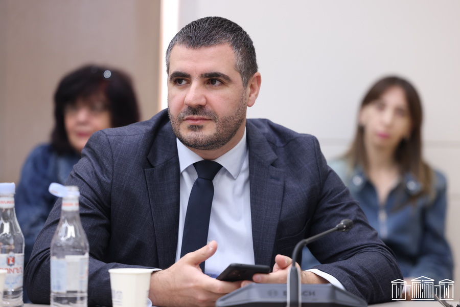 «20 հազար հանրային ծառայող ունենք, այսինքն՝ 20 հազար մարդու ասում եք՝ դուք ոչ մի հանրահավաքի չգնա՞ք»․ Արման Եղոյան