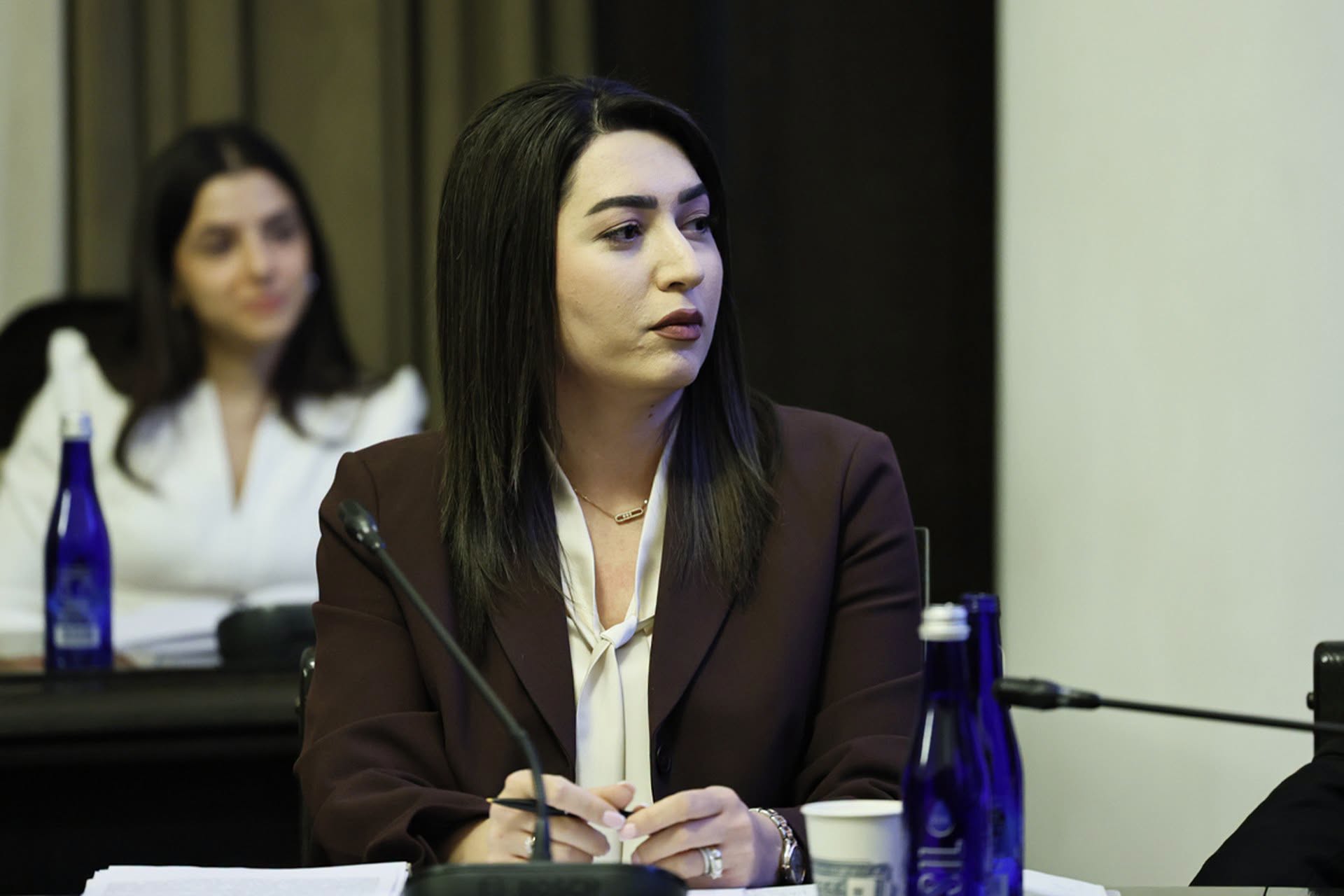 «Մոբիլիզացրել ենք մեր ամբողջ ռեսուրսը, որ մինչ այս պահը ստացած բոլոր դիմումները կարողանանք սպասարկել և տպագրել հին նմուշի փաստաթղթեր». Արփինե Սարգսյան