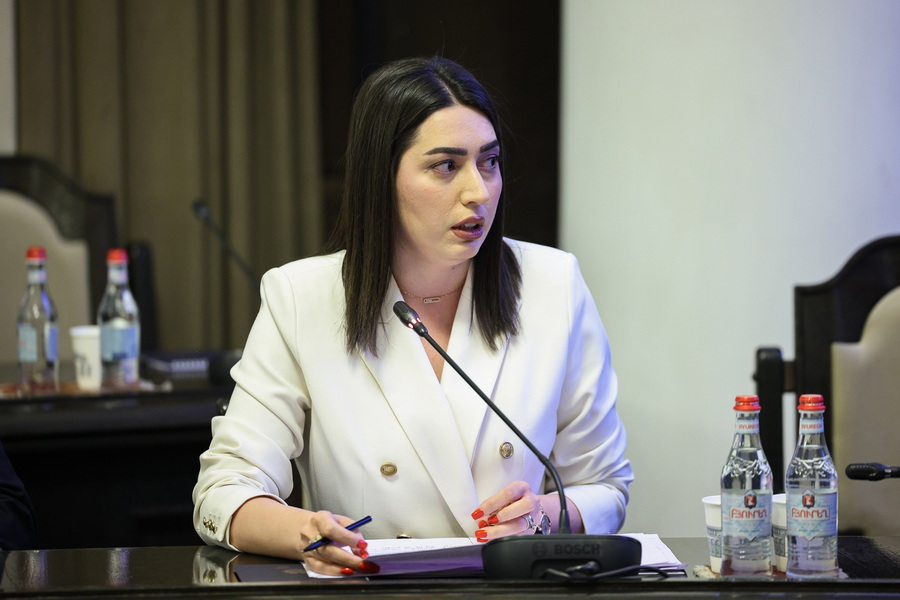 «Այո, Ընտանեկան բռնության փաթեթը նախաձեռնվել է Աննա Հակոբյանի արշավի շրջանակներում»․ Արփինե Սարգսյան