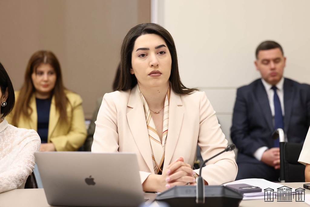 «Ընտանեկան բռնության դեմ պայքարը չի կարող սահմանափակվել միայն տուժածների պաշտպանությամբ». Արփինե Սարգսյան