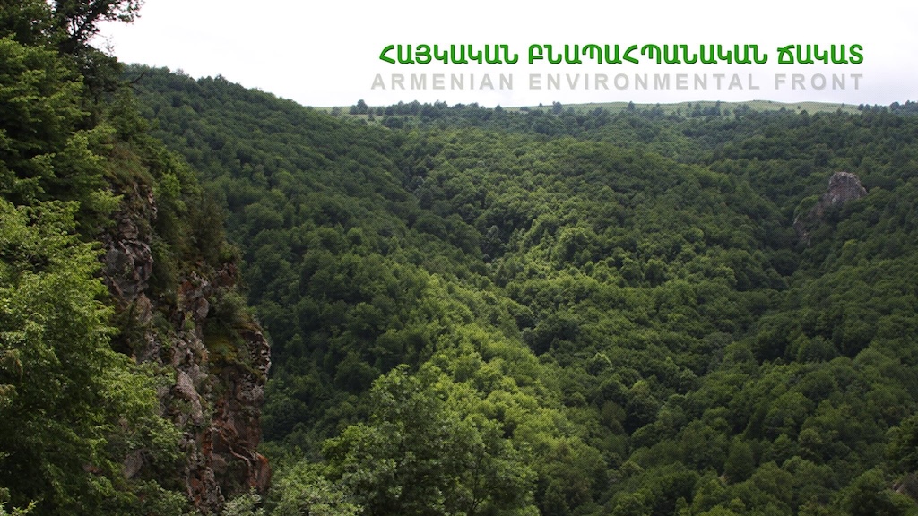 «Ոստիկանությունը հետևում է բնապահպաններին COP17-ի տարածքներում, այսօր փորձել է խլել խոսափողը և թույլ չտալ խոսել». «Հայկական բնապահպանական ճակատ»