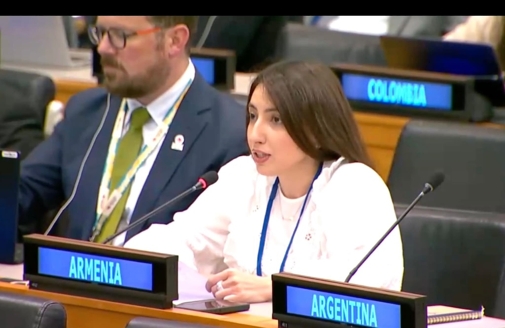 Armenia to finance participation of least developed and small island developing states in COP17