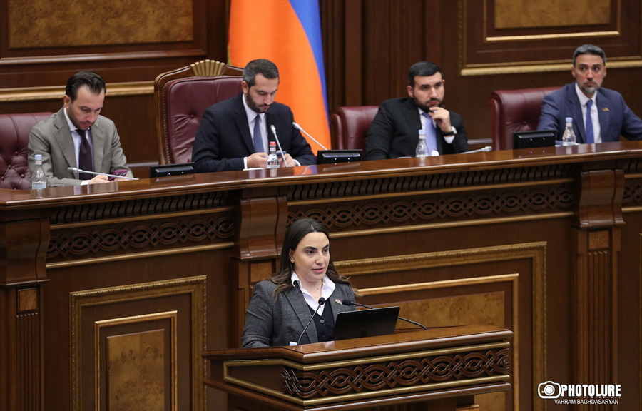 «Սնուփ Դոգի համերգը ձախողած կազմակերպությանը COP17-ի գովազդային արշավի իրականացման համար 90 տոկոս կանխավճար են տվել»․ Լենա Մաթևոսյան