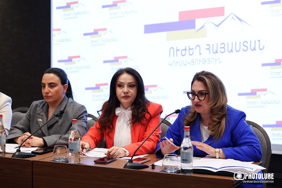 «Կարելի էր COP-17-ից այնքան գումար խնայել, որ սահմանն ամրացնեին, Տիգրանաշենը, մյուս սահմանամերձ համայնքները զարգացնեին»․ Լենա Մաթևոսյան