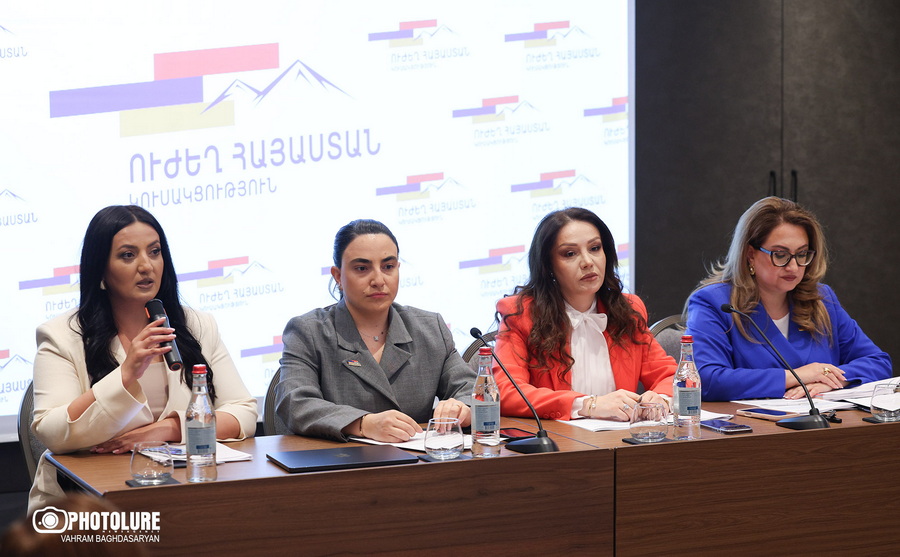 «12 և 20 բառերն անգլերենից սխալ թարգմանած կառավարությունն ասում է՝ ՄԱԿ-ի ստանդարտներ»․ Լենա Մաթևոսյան
