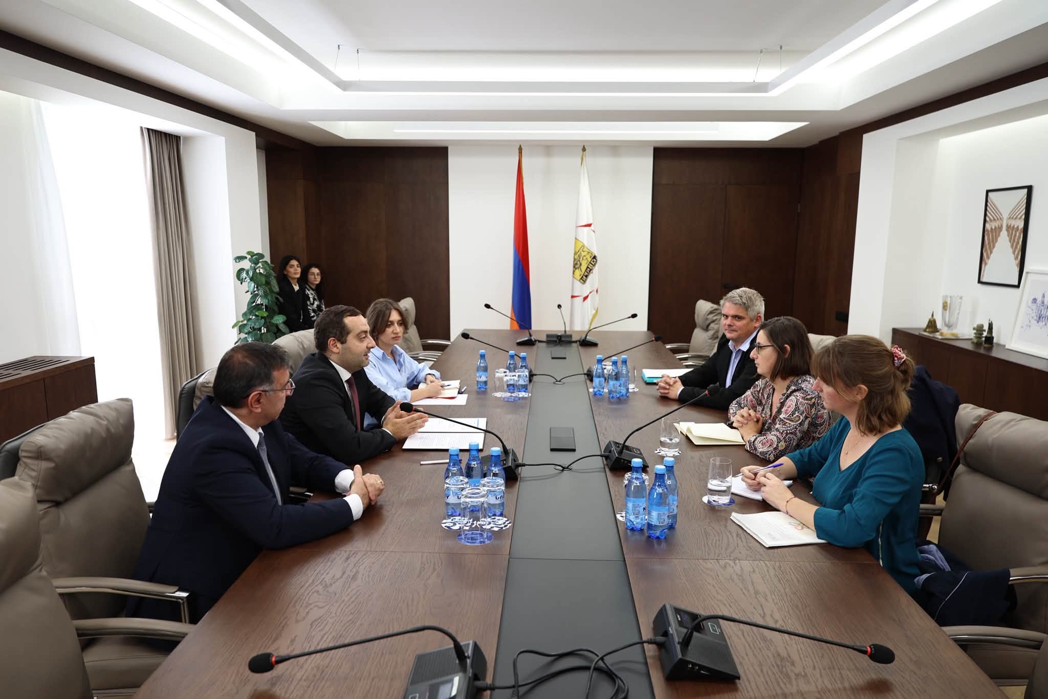 Քննարկվել է Երևանի և Լիոնի միջև հարաբերությունների հետագա զարգացումը