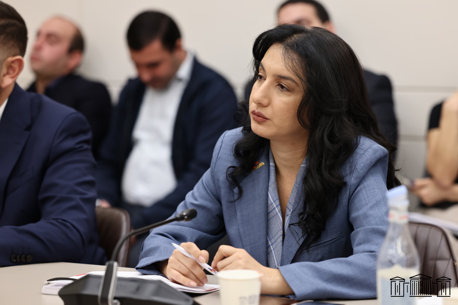 «Ինչպես ՏԻՄ, այնպես էլ համապետական ընտրություններում մենք տեսանք անփոփոխ ձեռագիր՝ քրեական գործիքակազմ, պատվիրված գործեր, վարչական ռեսուրսի անխնա կիրառում, ըստ էության, ահաբեկման մթնոլորտ». Մարիաննա Ղահրամանյան