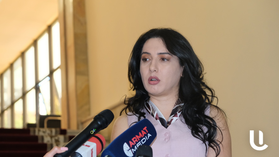 «Այդ գունեղ հրավառության հետեւում թաքնված է այս իշխանության ողջ պերճանքն ու թշվառությունը․ ներկայացրեցինք, թե ինչ ուռճացված գնումներ են իրականացրել»․ Մարիաննա Ղահրամանյան
