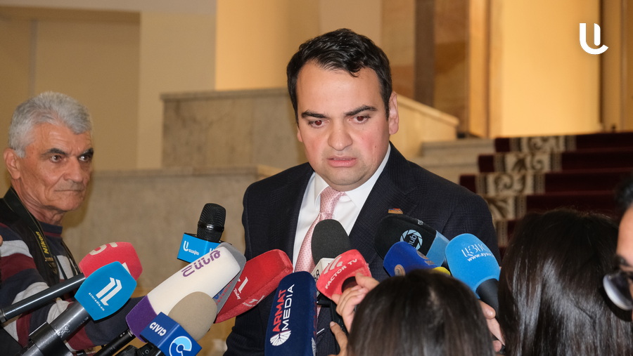 "One Azerbaijani came, the state was unable to solve the problem of one, how will they be able to solve the problem of thousands?" Narek Karapetyan