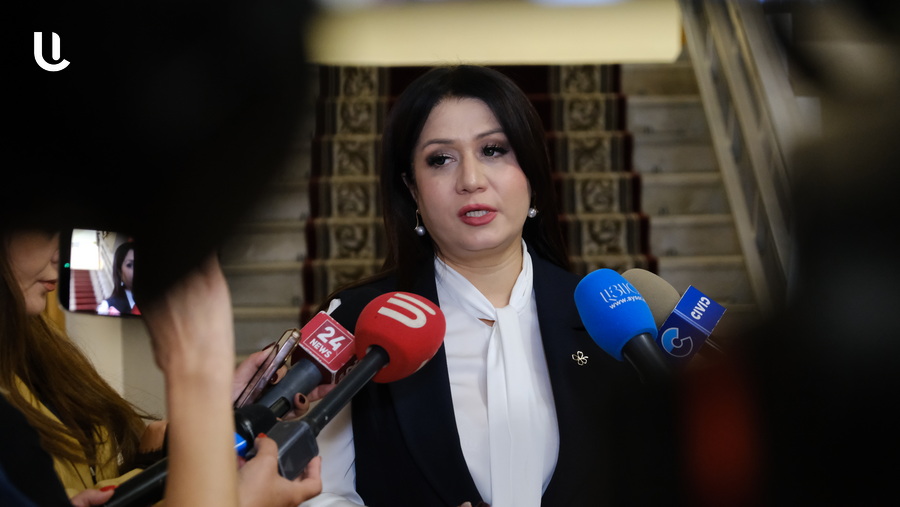 Ինչո՞ւ արցախցիների հարցով քննարկումն անցկացվեց փակ դռների հետեւում․ պարզաբանում է Նազելի Բաղդասարյանը