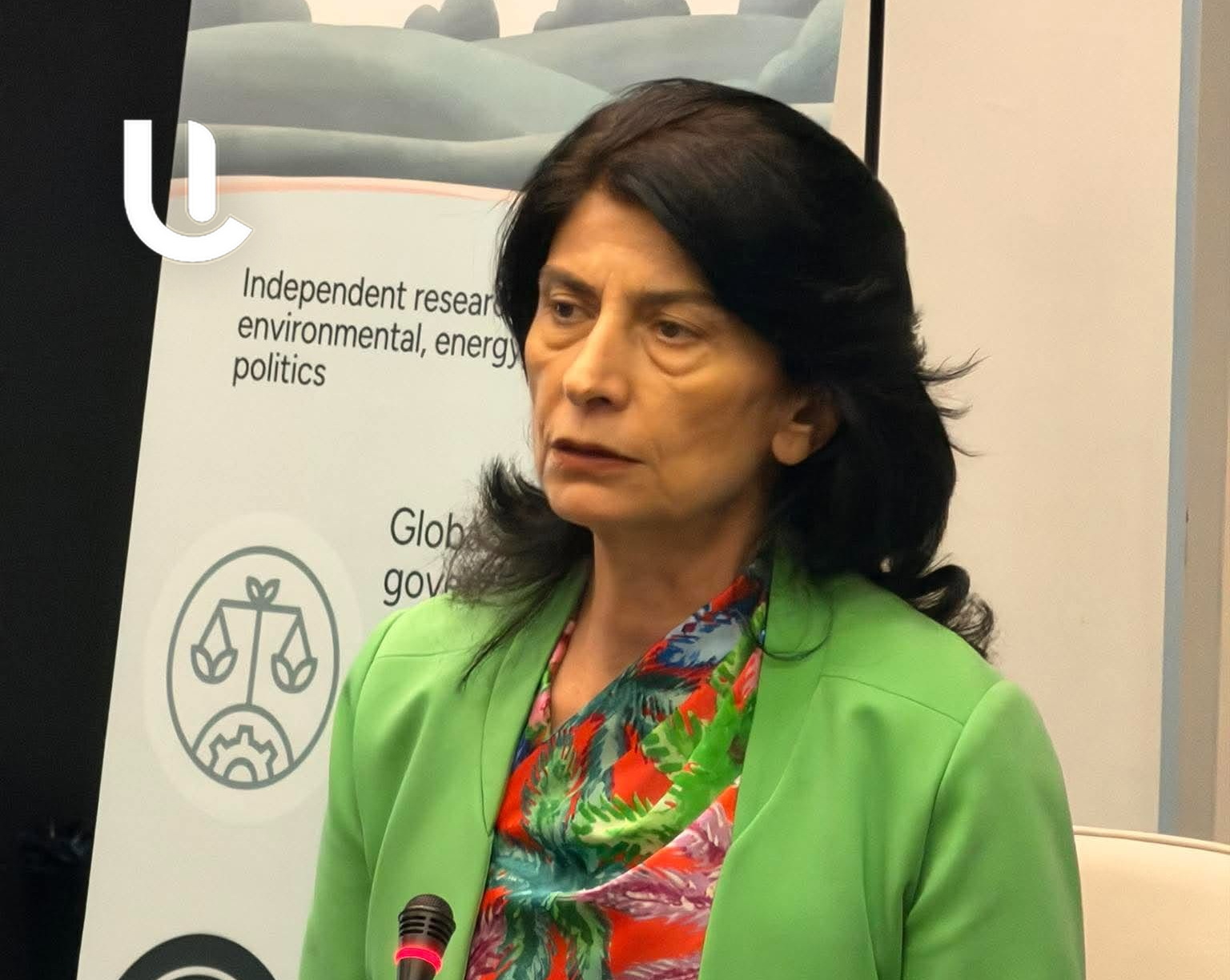 «Համարում եմ, որ կառավարությունն է դատի տալիս ինձ, և ես անպաշտպան եմ»․ Նազելի Վարդանյան