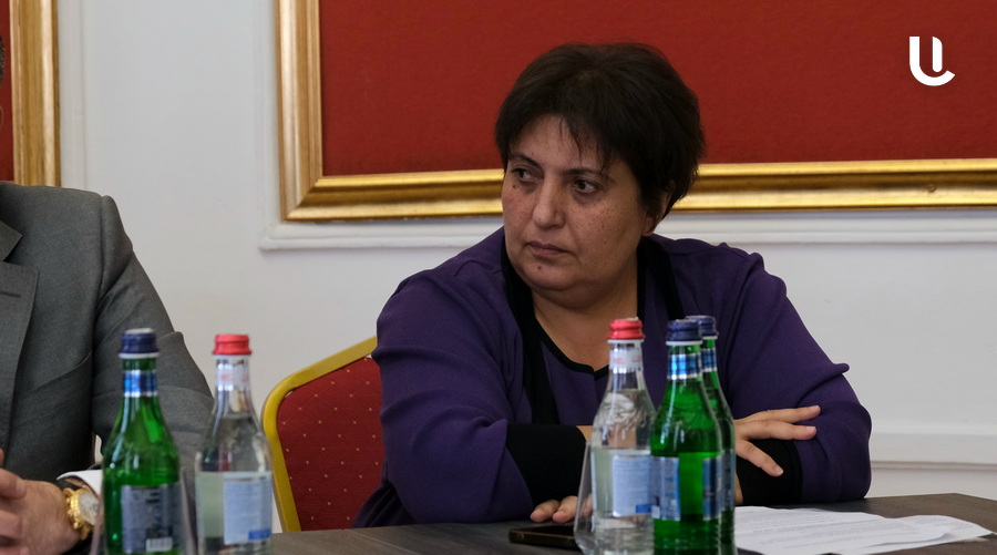 «Առաջարկում ենք առաջին 3 նախագահներին անձեռնմխելիություն՝ քաղաքականությունից հեռանալու պայմանով»․ Նինա Կարապետյանցը՝ «Սկզբունք» շարժման մոտեցումների մասին