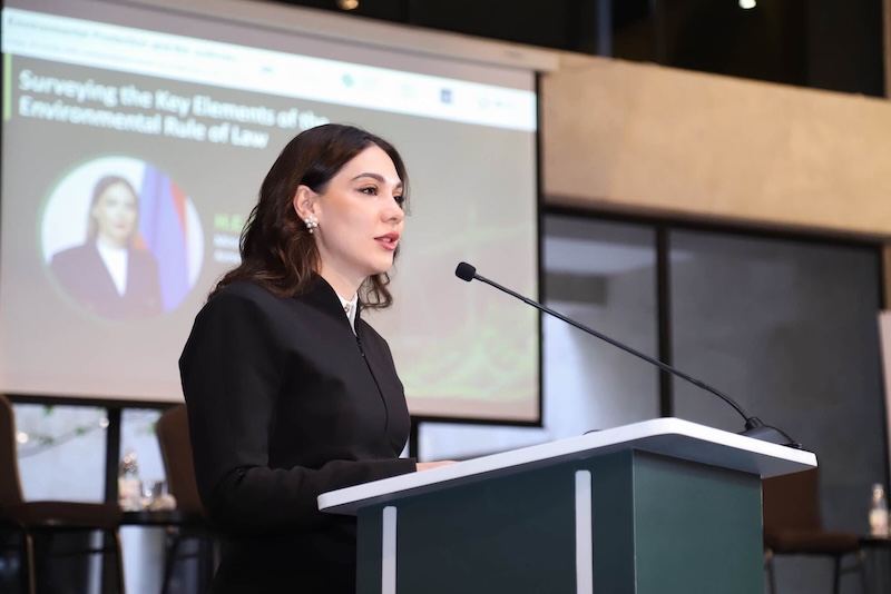 Ինչպե՞ս ապահովել շրջակա միջավայրի արդյունավետ իրավական պաշտպանությունը