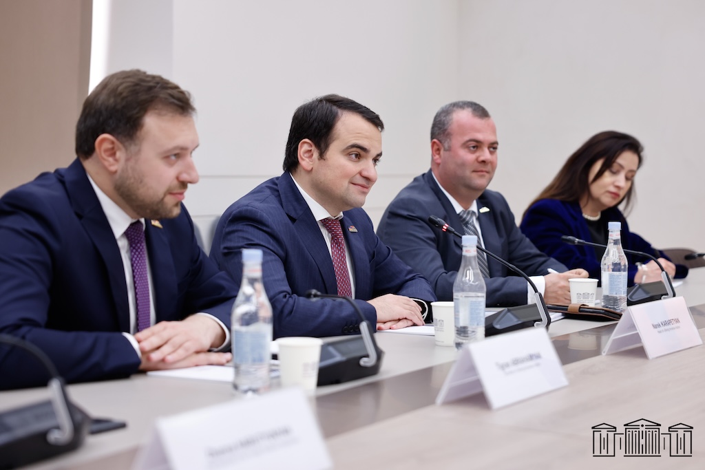 «Ուժեղ Հայաստան» կուսակցության ռազմավարությունը միտված է Եվրոպական միության հետ առավել խոր ինտեգրմանը և Հայաստանում եվրոպական չափանիշների ու ինստիտուտների ներդրմանը. Նարեկ Կարապետյան