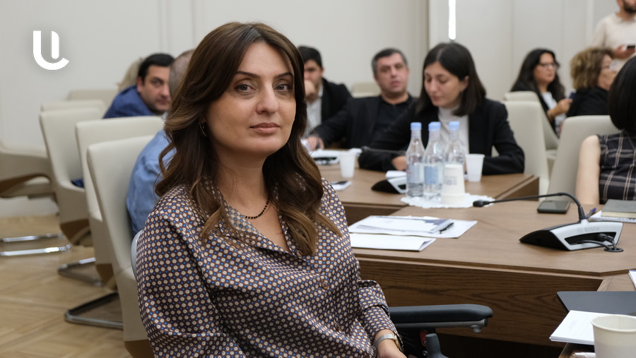 Discussion of the legislative blueprint initiated by Anna Yakyan was postponed for two months in the EC