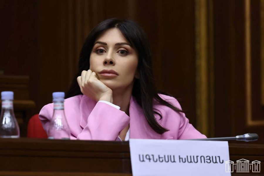 Քննչականն ու ՊԵԿ-ը՝ իշխանության «պատժիչ ջոկատ». Ագնեսա Խամոյան