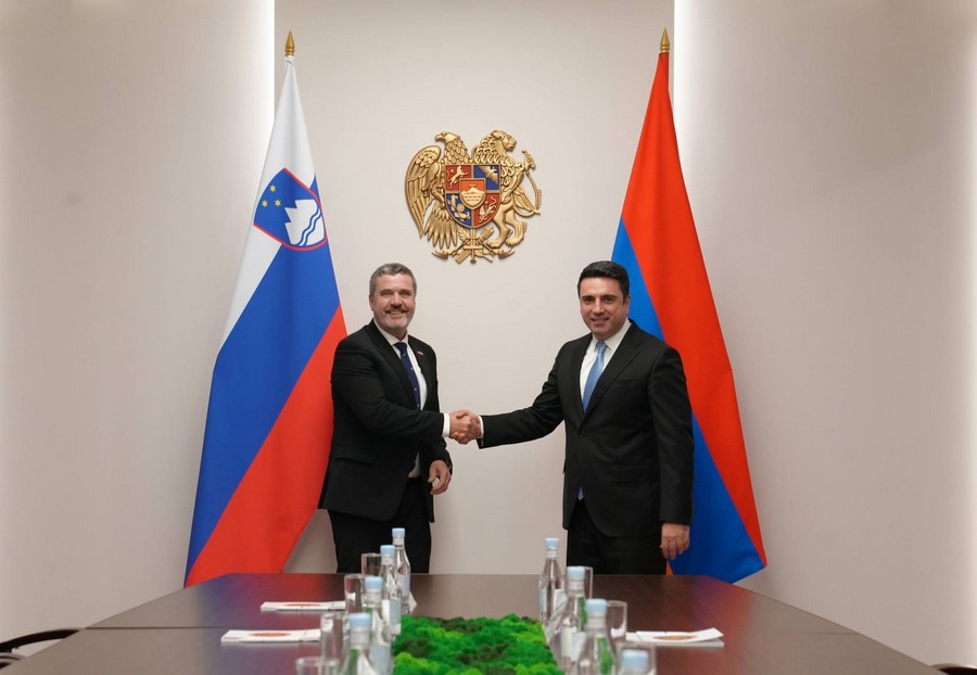 Ալեն Սիմոնյանի և Տոնե Կայզերի քննարկումների առանցքում է եղել Հայաստան-Սլովենիա հարաբերությունների զարգացումը