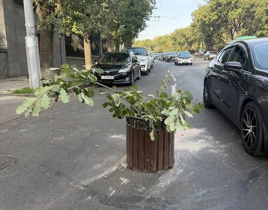 Գուցե սեփական աշխատավարձերը բարձրացնելուց առաջ մի փոքր էլ քաղաքո՞վ զբաղվեք. Մեսրոպ Մանուկյան