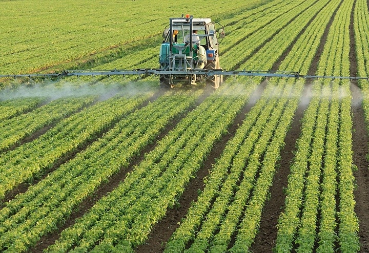 N. Pachinian a annoncé un recul de l’agriculture en Arménie et a présenté ses futurs projets de développement