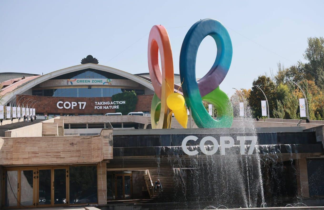 Le développement des énergies vertes au cœur des discussions de la COP 17 qui se déroule à Erevan en Arménie
