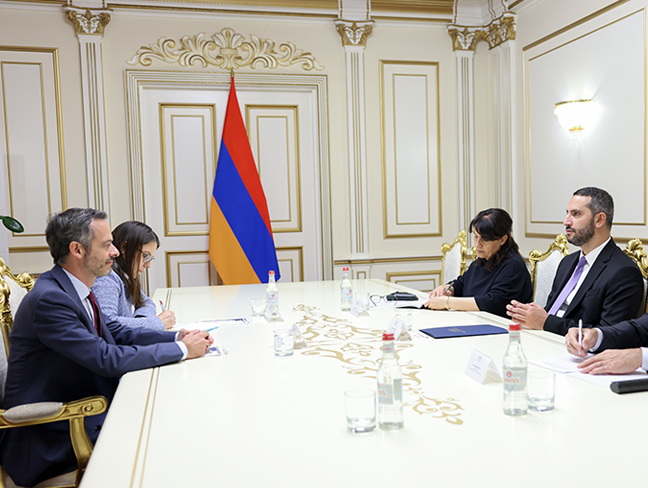 Rubinyan discusses Armenia-France ties with French ambassador