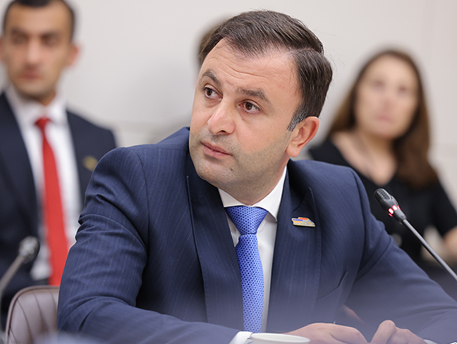 Argishti Darbinyan elected deputy chair of economic committee