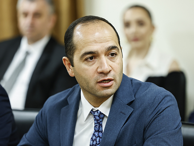 Minister calls Russian claims about Firebird AI politicized