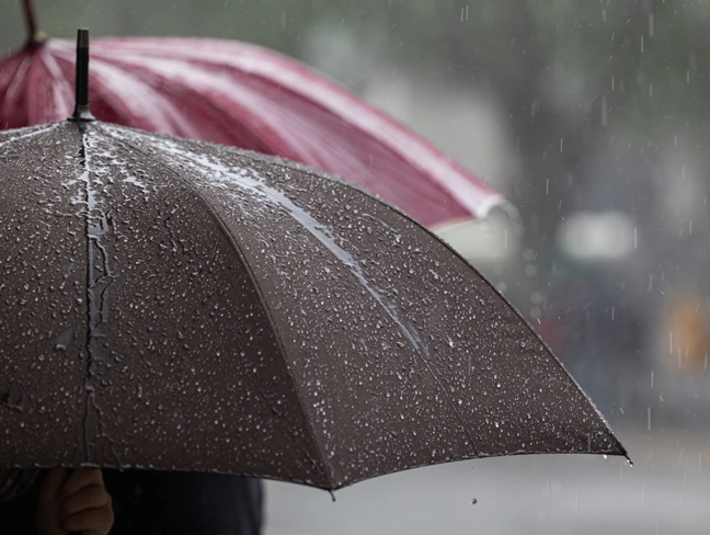 Short rain expected