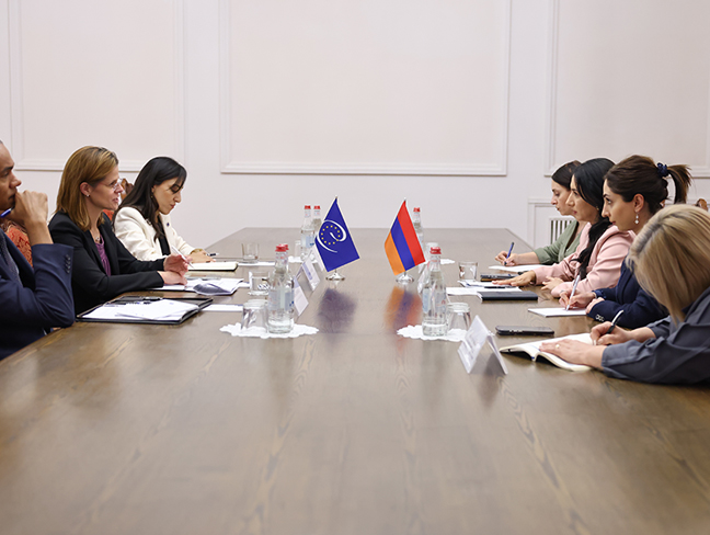 ԵԽ պաշտոնյաներին է ներկայացվել ՀՀ-ում դեղերի գրանցմանն առնչվող «Ուժեղ Հայաստանի» առաջարկած նախագիծը
