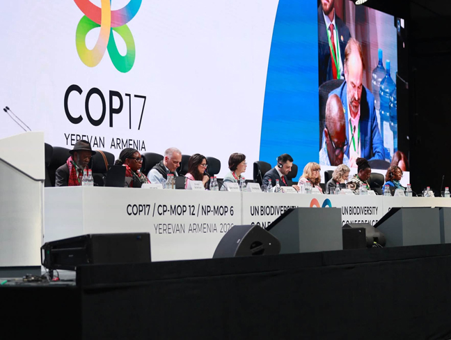 COP17-ում հաստատվել է բնիկ ժողովրդների և տեղական համայնքների հարցերով օժանդակ մարմնի գործունեության կարգը