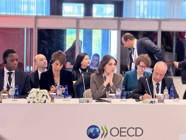 Գալյանը Ստամբուլում ներկայացրել է Հայաստանի արդարադատության համակարգի բարեփոխումները